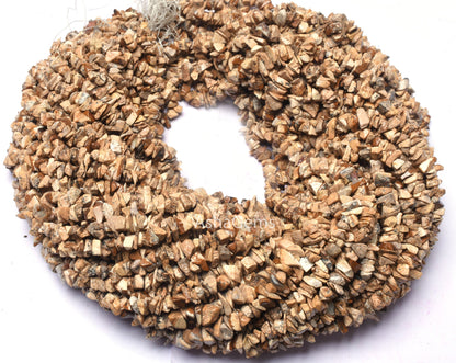 34 Inch Strand natural Picture Jasper Uncut chip Beads, Brown jasper Smooth Raw Rough Polish Gemstone Beads Picture Jasper Bead Jewelry SALE