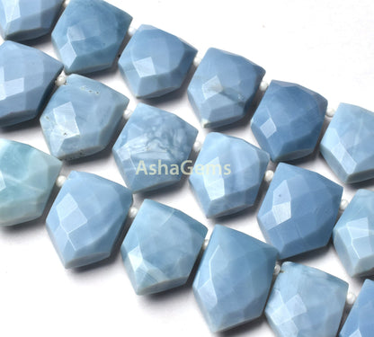 Blue Oregon Opal Faceted Fancy Shape Beads,8" Strand Blue Opal Gate Shape Beads,11-18mm Blue Opal Beads Gemstone Side Drill Beads Jewelry