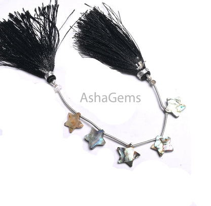 Amazing Abalone Shell Pearl quartz Doublet Fancy Star Carving Beads,10 mm Abalone Doublet Crystal Smooth Carving Star Gemstone Beads Jewelry (AG 18882)